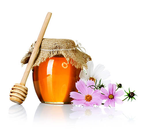 عسل -العسل-اليمني-الأصلي-العسال- honey - asal-original