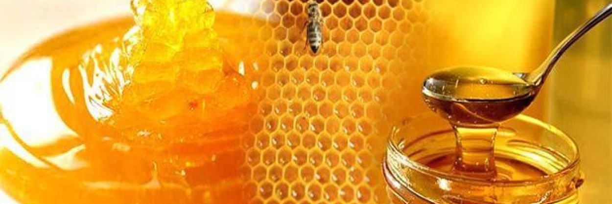 قرص العسل-مشط العسل -عسل -العسل-اليمني-الأصلي-العسال- الأعسال اليمنية- honey - asal-original